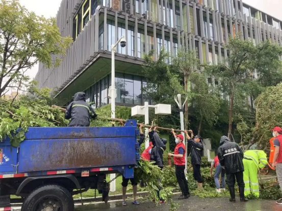 1605594948883587.png image.png