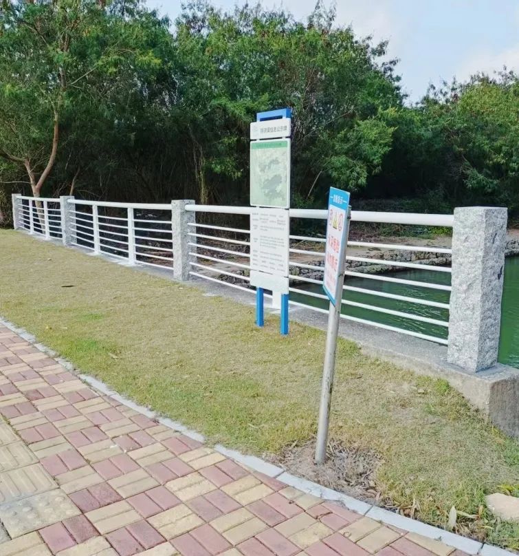 1757575547910927.jpg 12.jpg